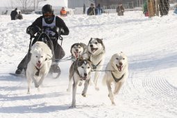 Lenk 2012 SM
